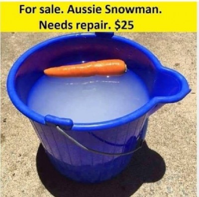 Aussie Snowman.jpg